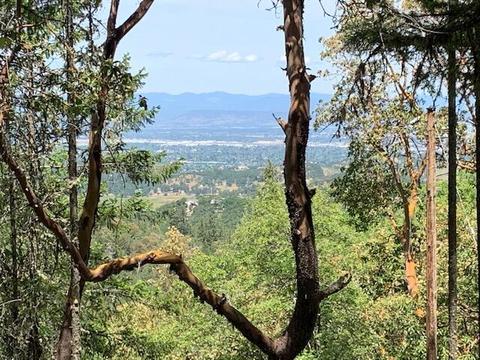 0 Griffin Creek Tl1200 Rd, Medford, OR 97501
