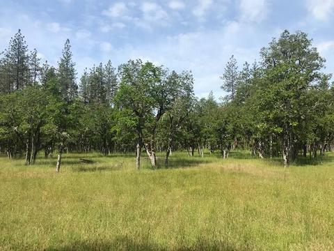 3735 Cobleigh Rd, Eagle Point, OR 97524 photo 35