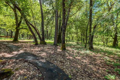 225 Nolan Rd, Cave Junction, OR 97523 photo 32