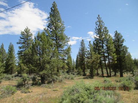 lot3 Mountain Quail Dr, Sprague River, OR 97639