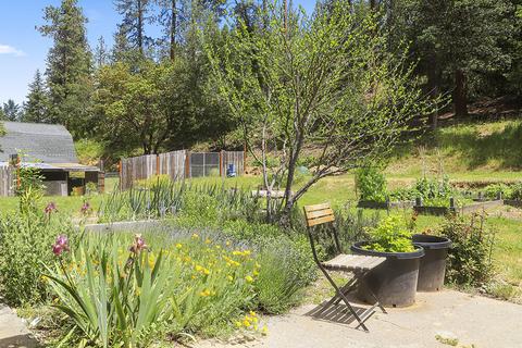 2861 Thompson Creek Rd, Applegate, OR 97530 photo 2