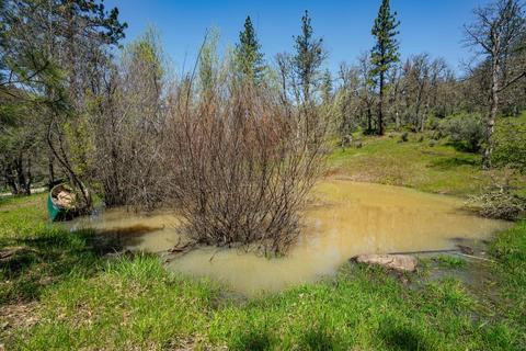 12366 E Antelope Rd, Eagle Point, OR 97524 photo 35