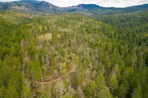 12366 E Antelope Rd, Eagle Point, OR 97524 photo 5