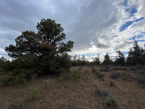 62324 Byram Rd, Bend, OR 97701 photo 1