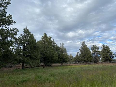 62324 Byram Rd, Bend, OR 97701 photo 8