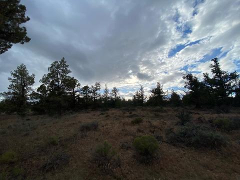 62324 Byram Rd, Bend, OR 97701 photo 15