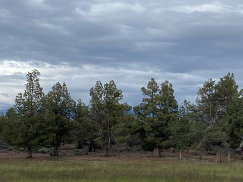 62324 Byram Rd, Bend, OR 97701 photo 18