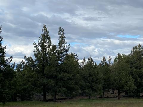 62324 Byram Rd, Bend, OR 97701 photo 16
