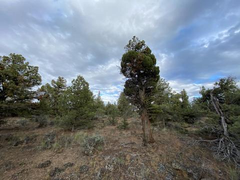 62324 Byram Rd, Bend, OR 97701 photo 10