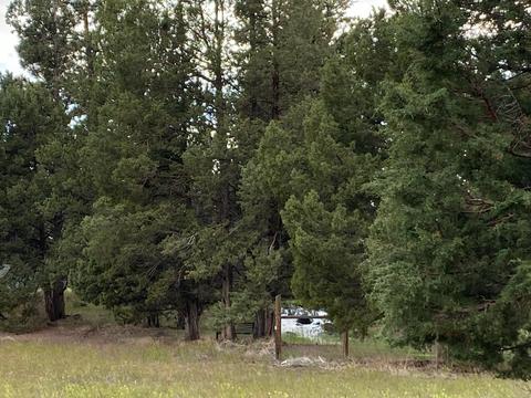 62324 Byram Rd, Bend, OR 97701 photo 6