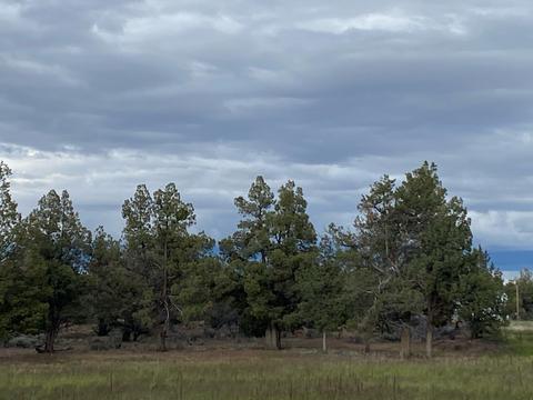 62324 Byram Rd, Bend, OR 97701 photo 19