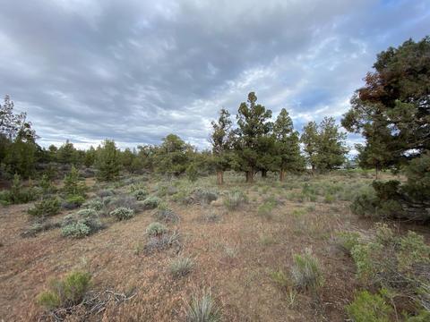 62324 Byram Rd, Bend, OR 97701 photo 14