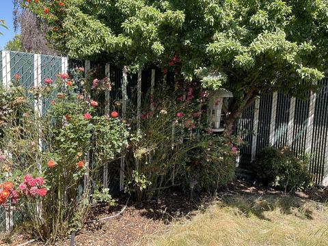 953 Westrop Dr, Central Point, OR 97502 photo 19