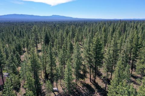 16939 Jacinto Rd, Bend, OR 97707 photo 72