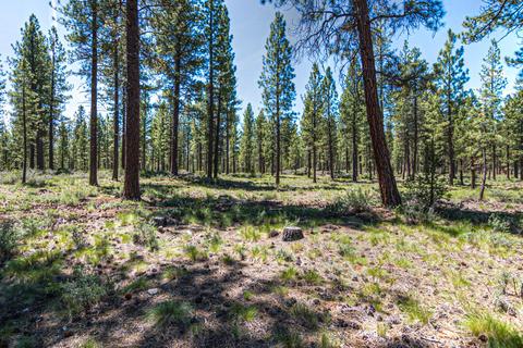 16939 Jacinto Rd, Bend, OR 97707 photo 40