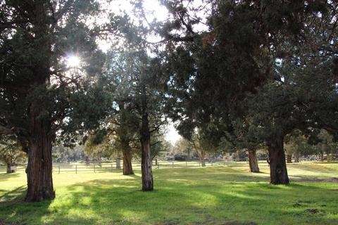 24055 Dodds Rd, Bend, OR 97701 photo 55