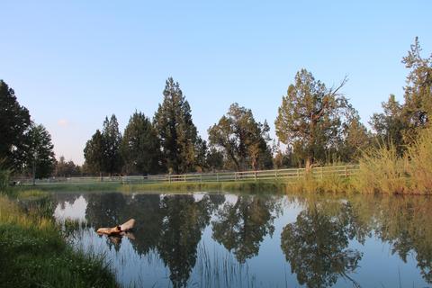 24055 Dodds Rd, Bend, OR 97701 photo 52