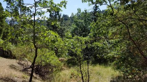 603 Ashland Creek Dr, Ashland, OR 97520