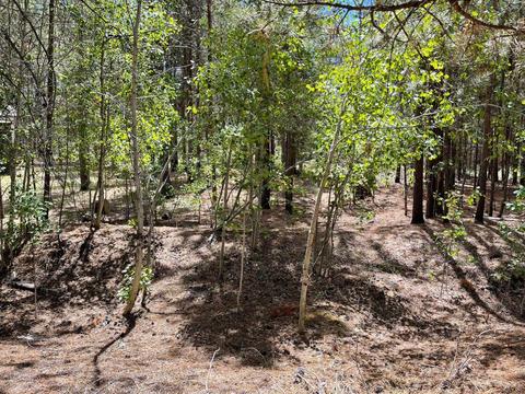 1782 Hackett Dr, La Pine, OR 97739 photo 2