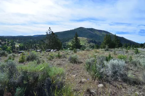 216 Elkview Dr, Canyon City, OR 97820