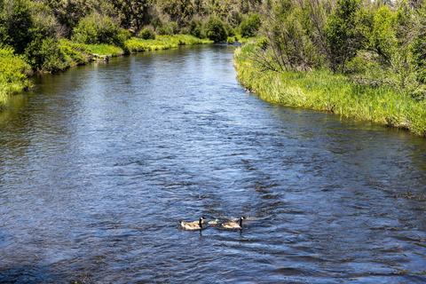 20150 Tumalo Rd, Bend, OR 97703 photo 51