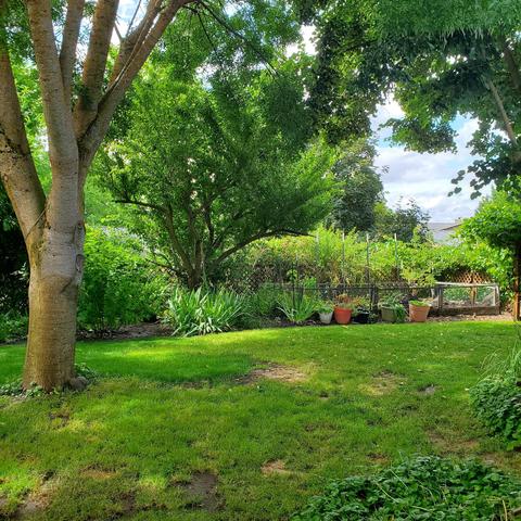 480 Westminster Dr, Eagle Point, OR 97524 photo 29