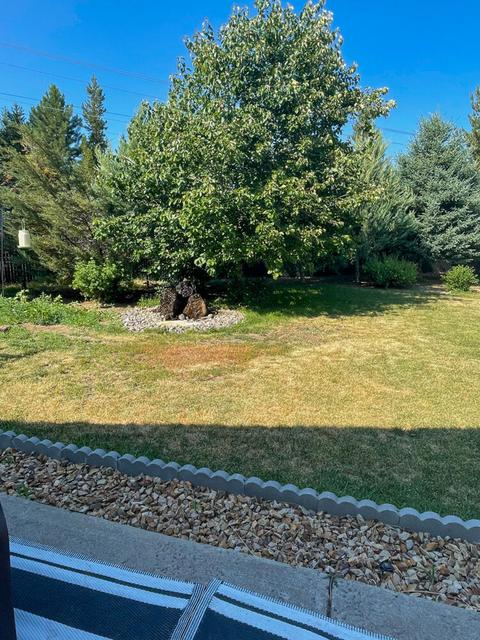 51382 Apache Tears Ct, La Pine, OR 97739 photo 14
