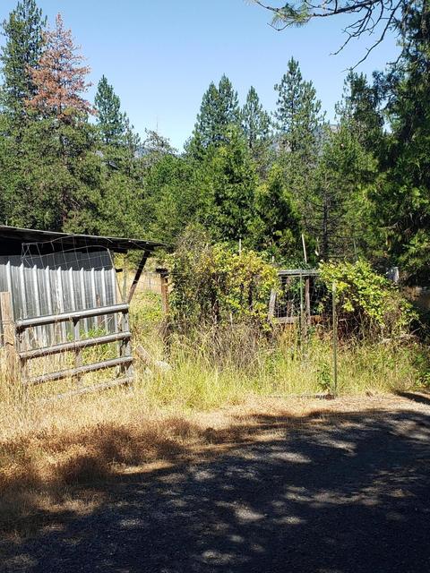 301 Pine Tree Dr, Williams, OR 97544 photo 8