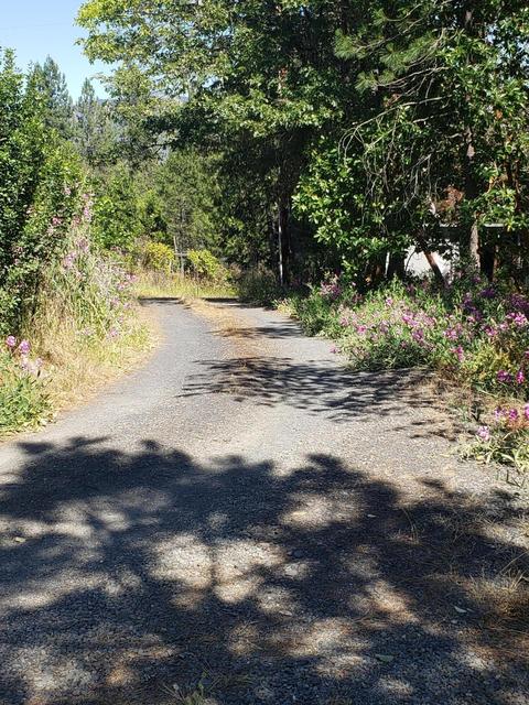 301 Pine Tree Dr, Williams, OR 97544 photo 4