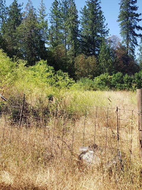 301 Pine Tree Dr, Williams, OR 97544 photo 9