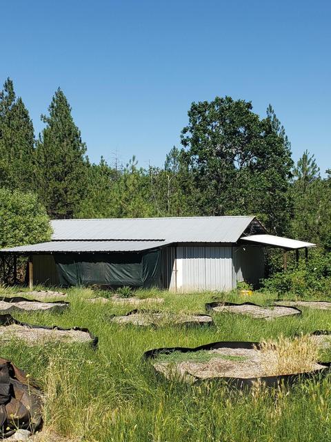 301 Pine Tree Dr, Williams, OR 97544 photo 41