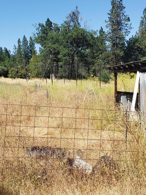 301 Pine Tree Dr, Williams, OR 97544 photo 10