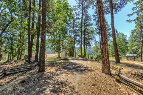 46 Busch Rd, Trail, OR 97541 photo 14