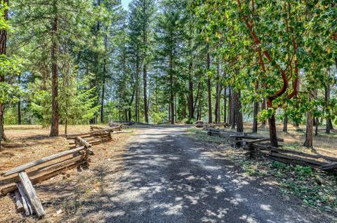 46 Busch Rd, Trail, OR 97541 photo 17