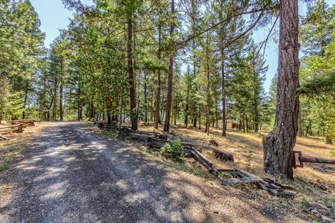46 Busch Rd, Trail, OR 97541 photo 16