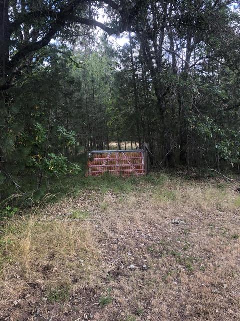 8295 Evans Creek Rd, Rogue River, OR 97537 photo 13