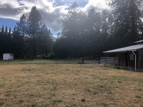 8295 Evans Creek Rd, Rogue River, OR 97537 photo 16