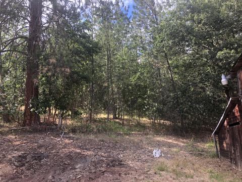 8295 Evans Creek Rd, Rogue River, OR 97537 photo 12