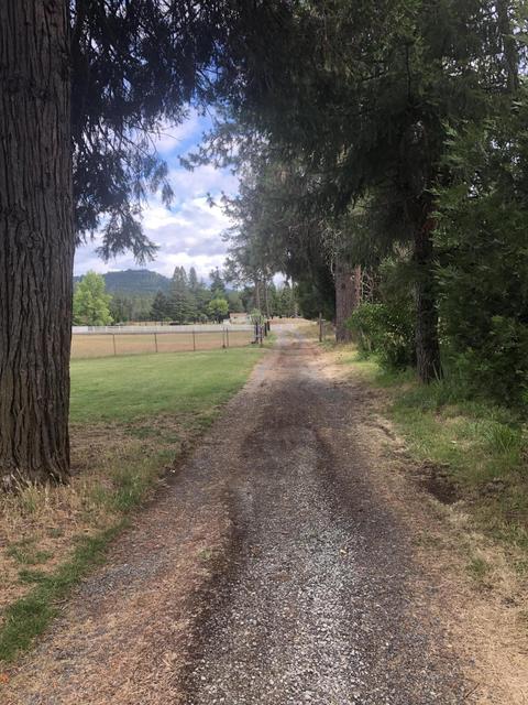 8295 Evans Creek Rd, Rogue River, OR 97537 photo 11