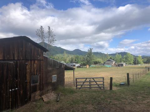 8295 Evans Creek Rd, Rogue River, OR 97537 photo 15