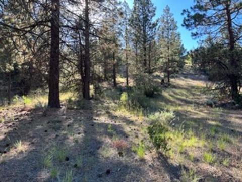 Lot 32 Wilderness Way, Klamath Falls, OR 97601