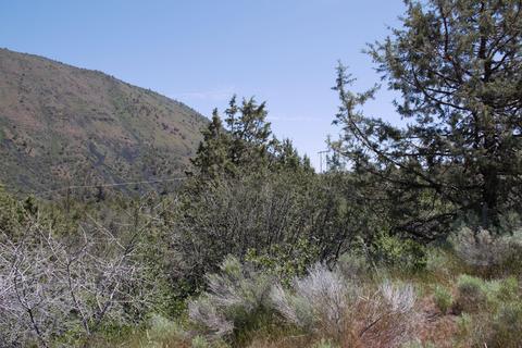 peregrine heights LOT 37, Klamath Falls, OR 97601