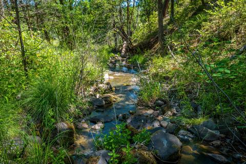 111 Loper Ln, Trail, OR 97541 photo 45