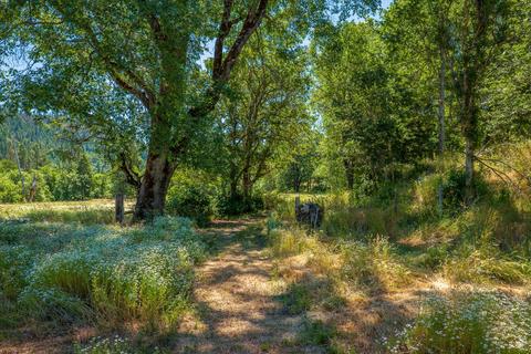 111 Loper Ln, Trail, OR 97541 photo 41