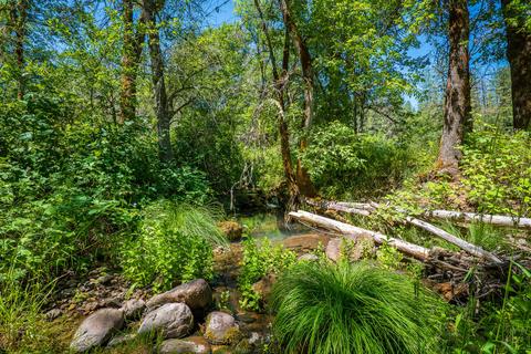 111 Loper Ln, Trail, OR 97541 photo 44
