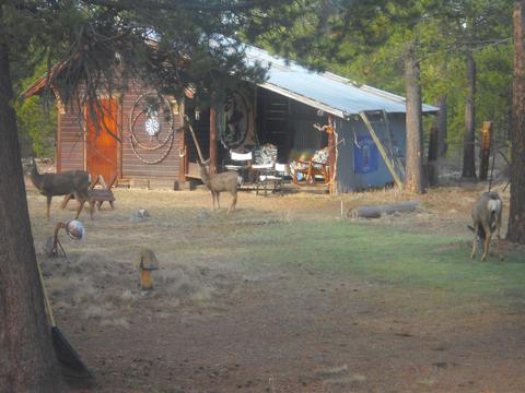 15903 Jackpine Loop, La Pine, OR 97739 photo 22