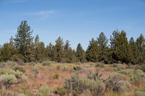 22350 Calgary Dr, Bend, OR 97702 photo 42