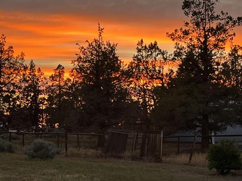 65081 92nd St, Bend, OR 97703 photo 37