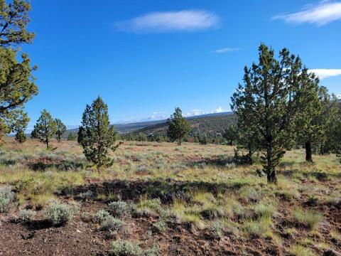 15121 SE Winchester Loop, Prineville, OR 97754