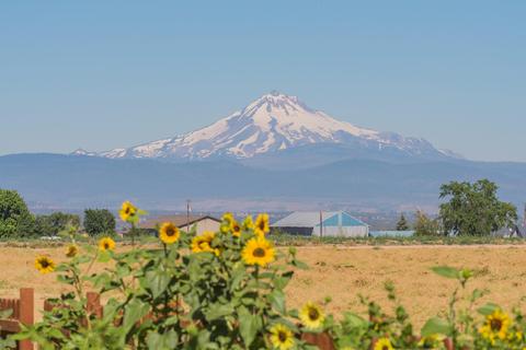 601 E A St, Culver, OR 97734 photo 19